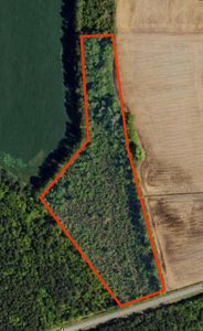 tbd Pinckney Rd., Nichols, SC, 29581