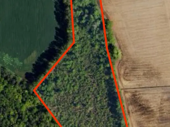 tbd Pinckney Rd., Nichols, SC 29581