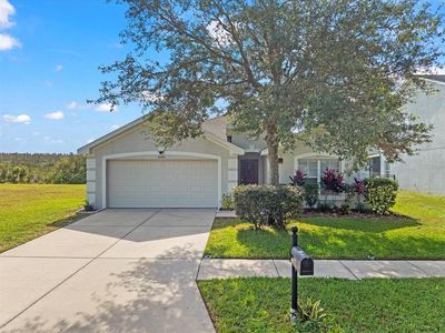 6226 Desert Peace Ave, Land O Lakes, FL, 34639