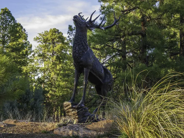 3633 Sunset Ridge Loop, Happy Jack, AZ 86024