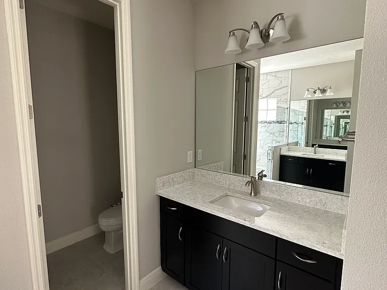 12820 Satin Lily Dr — Photo 35