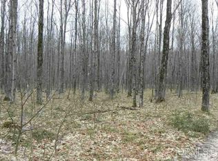 Tbd Coaster Rd, Trenary, MI 49891