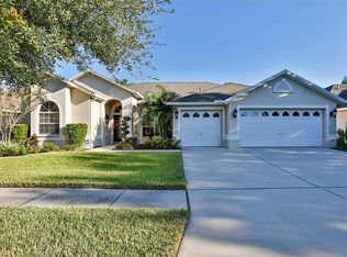 7217 Bucks Ford Dr, Riverview, FL 33578