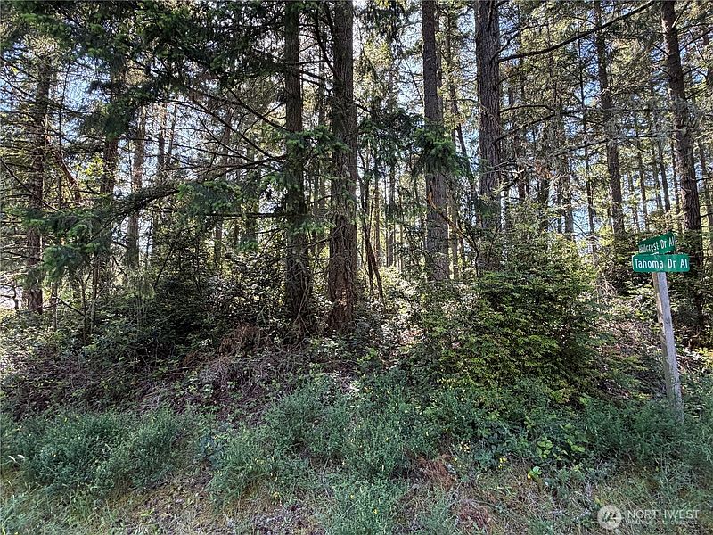4th image of 10506 Tahoma Drive