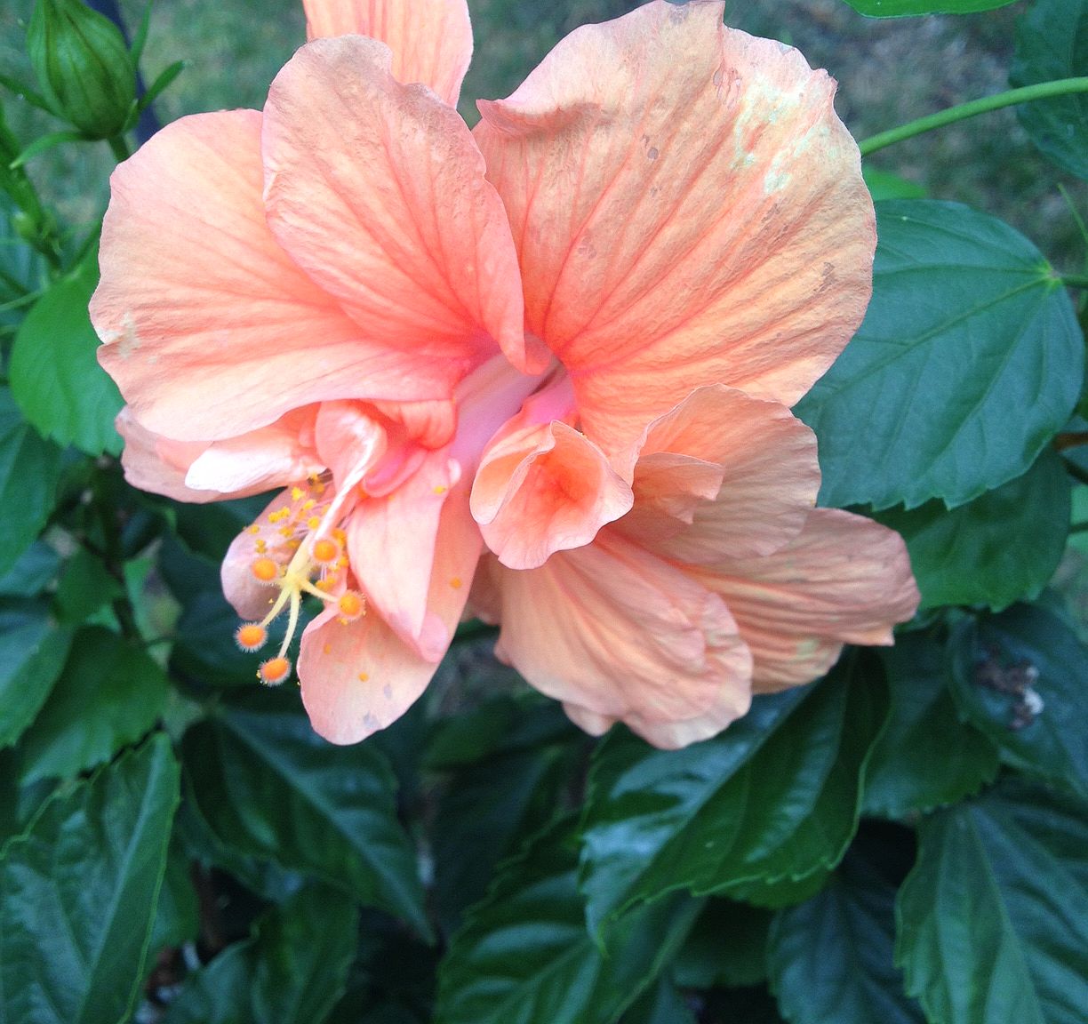 700 Hillside Ave, Pine Beach, NJ 08741 Zillow