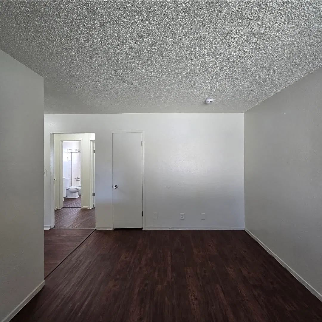 1 bed, 800 sqft, $1,095 — Photo 3