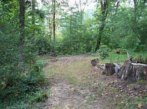 1st image of 0 Woodland Dr E