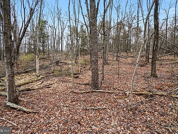 4th image of Sulphur Springs Rd