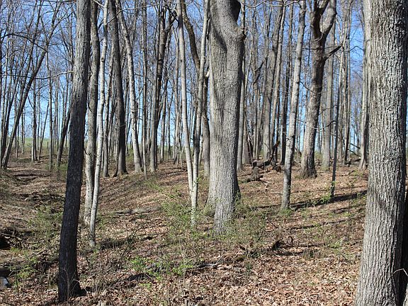 5th image of 1480 Poindexter Rd