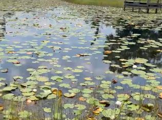 8 Appaloosa Dr, Interlachen, FL 32148