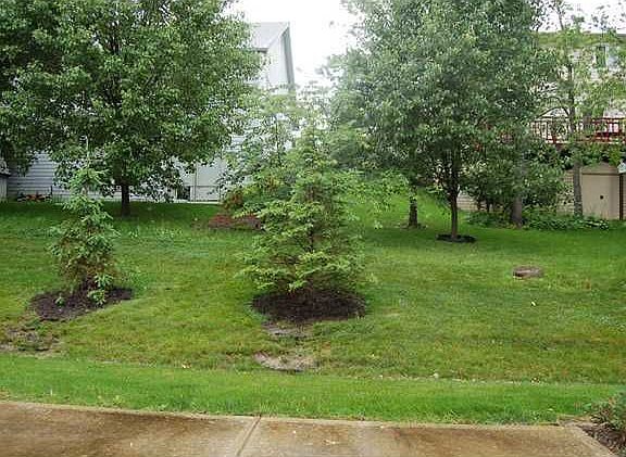 4th image of 8340 Berrybush Ln