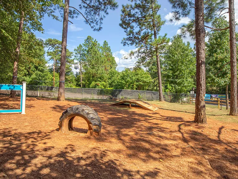 Bring your pet for fur-tastic fun in at our pet-friendly apartment community in Columbia, SC.!