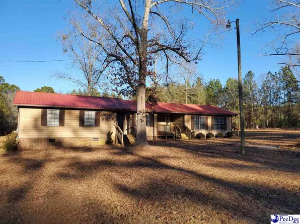59 J C Barefoot Rd, Patrick, SC 29584