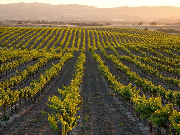 Morada by Trumark Homes Vineyards Paso Robles, CA