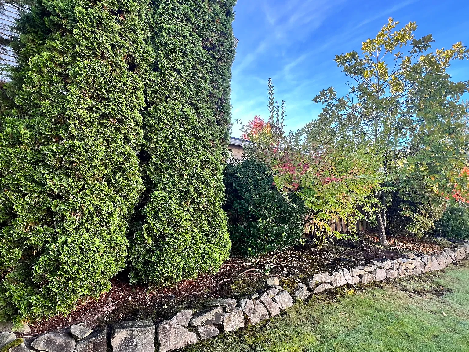 4 bed, 2.5 bath, 1800 sqft, $3,600 — Photo 2