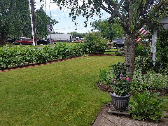 Front Yard 3