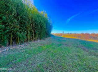 Darbun China Grove Rd, Sandy Hook, MS 39478
