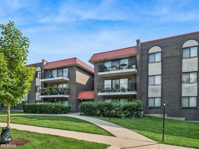 1255 W Prospect Ave APT 208, Mount Prospect, IL, 60056