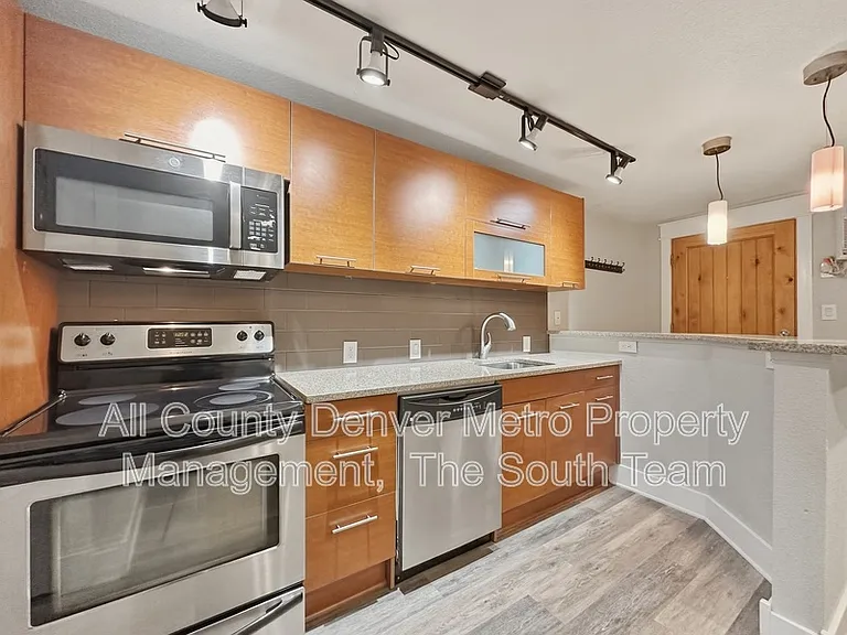 195 S Pennsylvania St #204 — Photo 6