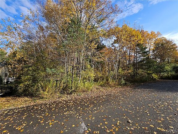 5th image of Birch Ln