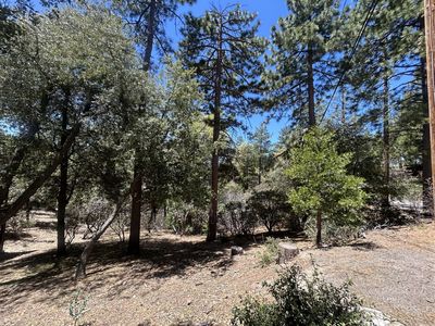 Pine Cove Rd, Idyllwild, CA, 92549