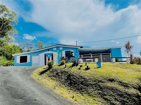 156 Los Ramos, Aguas Buenas, PR 00703