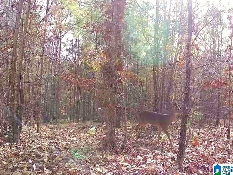 2nd image of 0 Rolling Hills Ln Lot 1