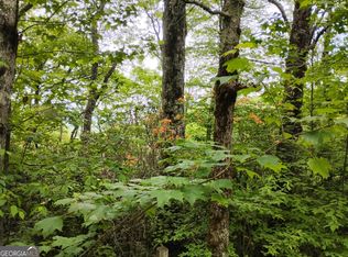 LOT 51 Bayberry Ln, Dillard, GA 30537