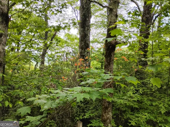 LOT 51 Bayberry Ln, Dillard, GA 30537