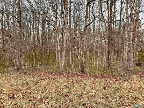 Horizon St, Sylvania, AL 35988