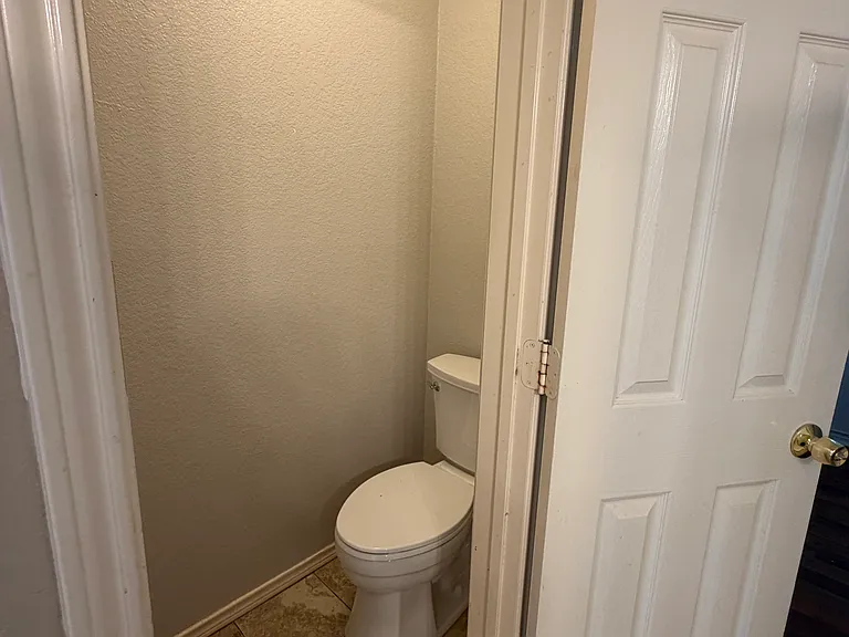 Master bathroom toilet