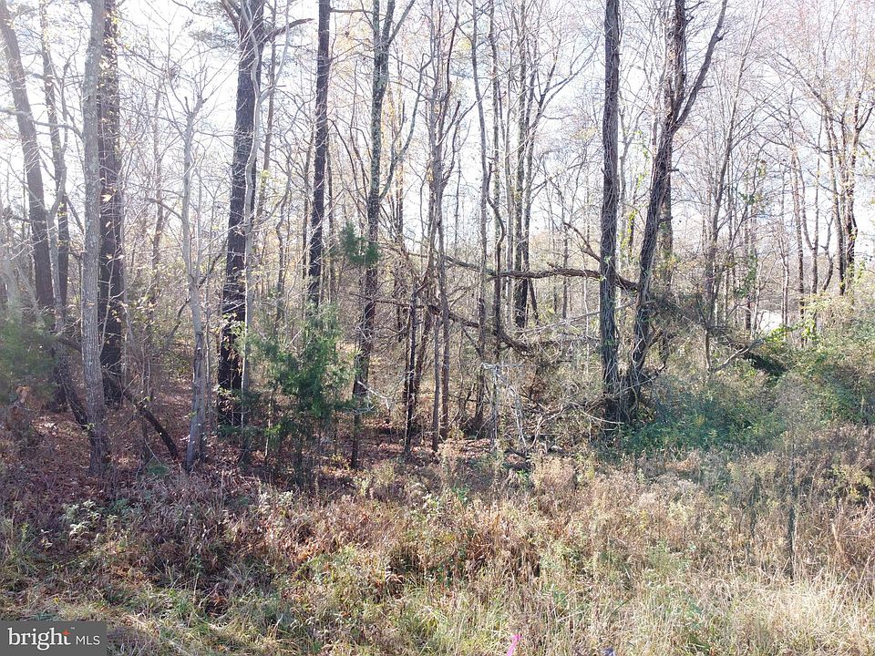2nd image of 39B Kings Hwy