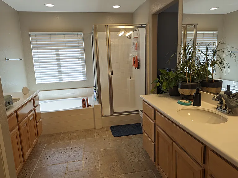 Master bathroom dual vanities, shower and bathtub with views of the hillside with nobody behind. It also has a huge walk in closet.