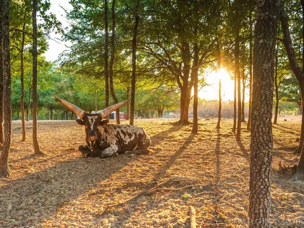 106082 N 3810th Rd, Okemah, OK 74859