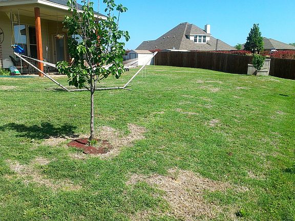 large backyard 
