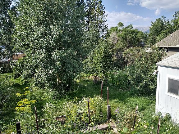 back yard facing SW