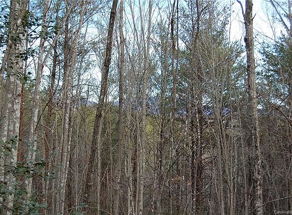 2nd image of 0 Piney Creek Dr Lot 3