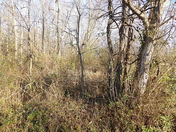 5th image of 312 Blakely Ln