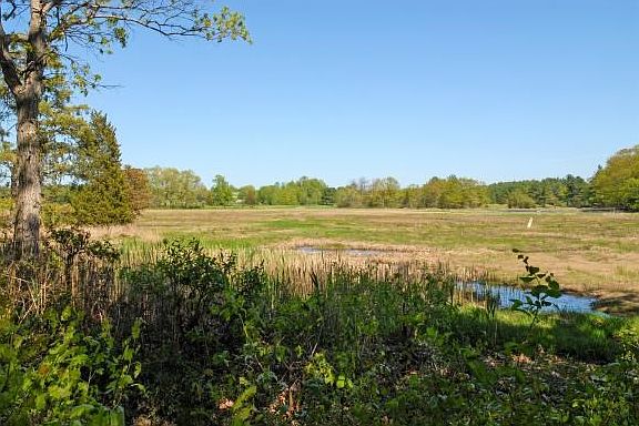 View of Marsh and Ports CC