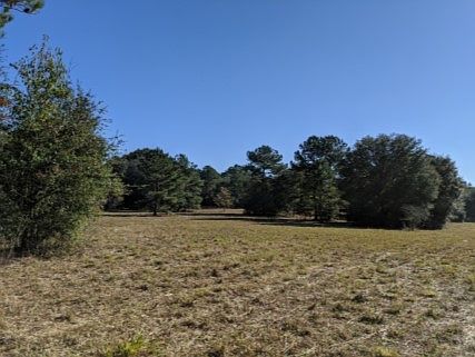 3rd image of 231 NW Nova Ln