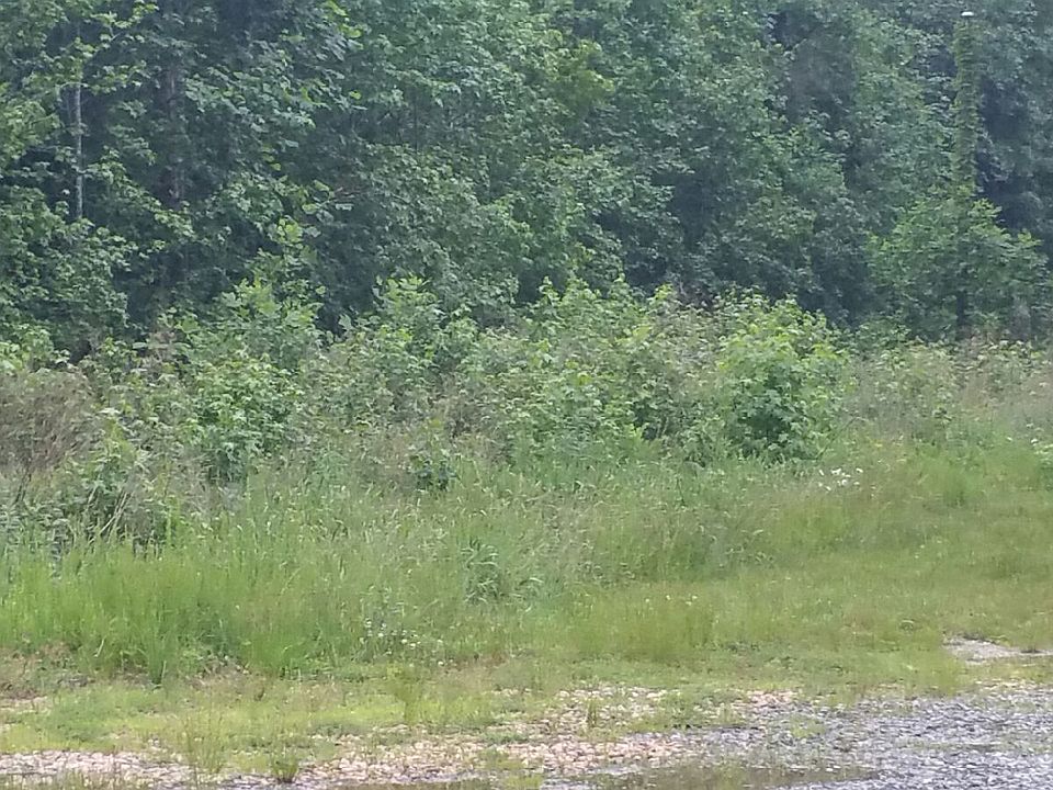 2nd image of Belroi Rd