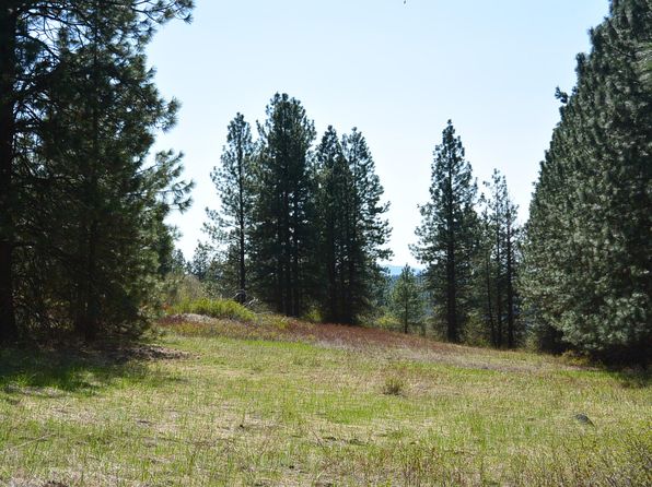 Hoag Rd, Valley, WA 99181