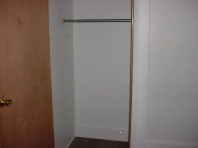 CLOSET IN LIVING ROOM