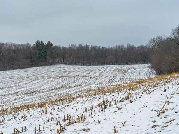 35/- Pine Hollow Rd, Arlington, WI 53911