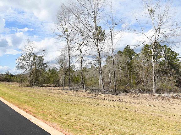5th image of 22 Creek Bluff Dr
