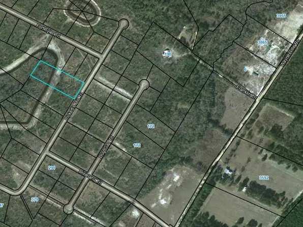 80 Picketts Mill Trl, Waynesville, GA 31566