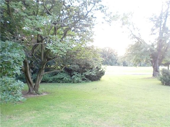 View to R of drive- only 1 other home, tree buffer