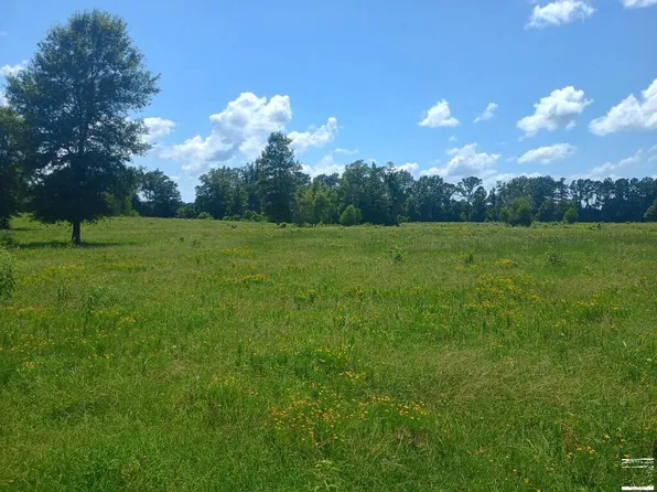TRACT 7 17th Hwy #990, Simms, TX 75574
