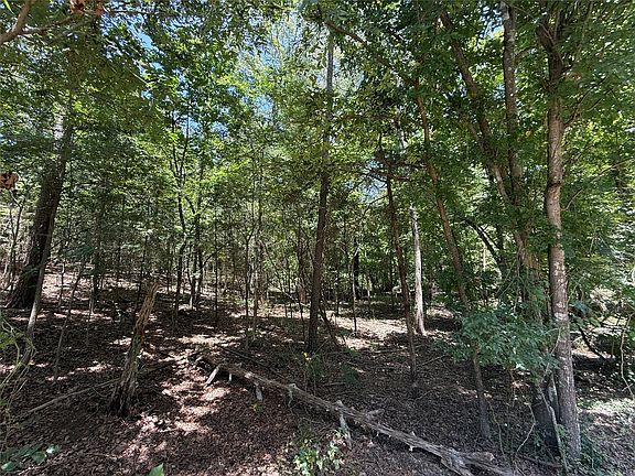 3rd image of Whispering Pine Trl