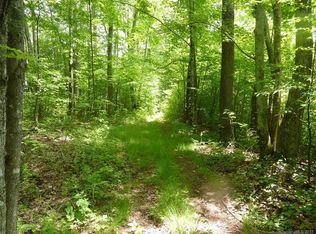 Tbd Running Bear Rd, Hot Springs, NC 28743